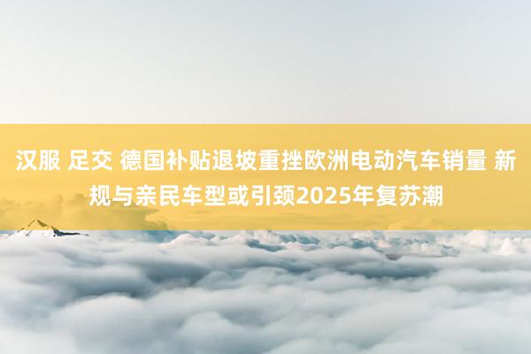 汉服 足交 德国补贴退坡重挫欧洲电动汽车销量 新规与亲民车型或引颈2025年复苏潮