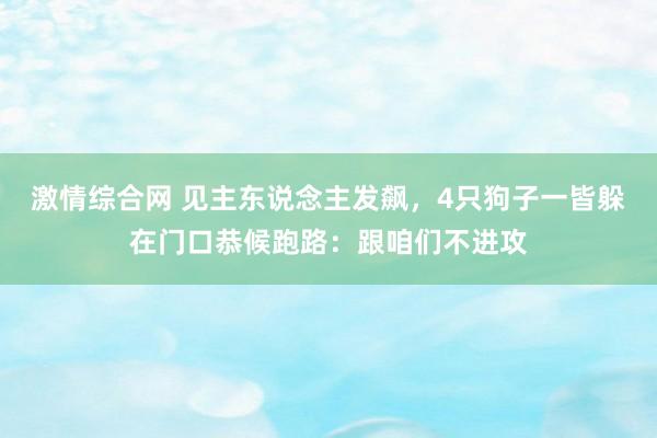 激情综合网 见主东说念主发飙，4只狗子一皆躲在门口恭候跑路：跟咱们不进攻