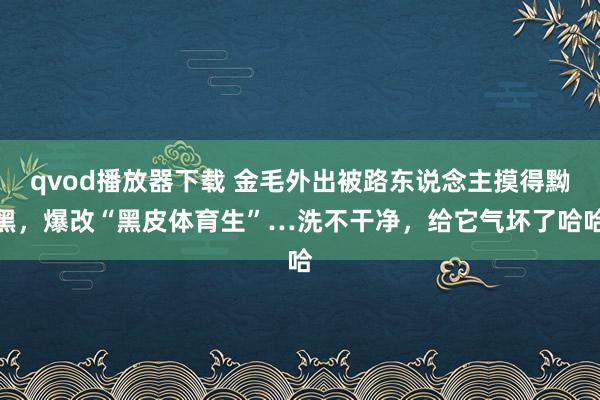 qvod播放器下载 金毛外出被路东说念主摸得黝黑，爆改“黑皮体育生”…洗不干净，给它气坏了哈哈