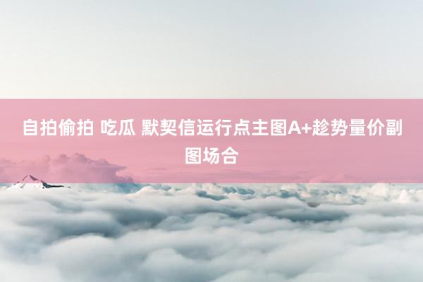 自拍偷拍 吃瓜 默契信运行点主图A+趁势量价副图场合