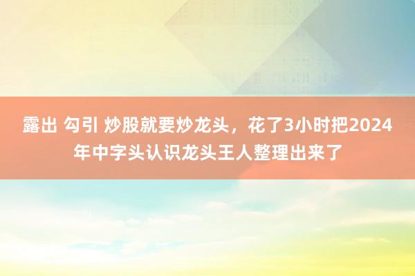 露出 勾引 炒股就要炒龙头，花了3小时把2024年中字头认识龙头王人整理出来了