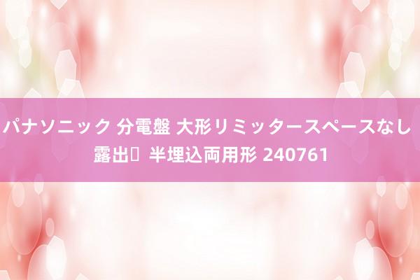 パナソニック 分電盤 大形リミッタースペースなし 露出・半埋込両用形 240761