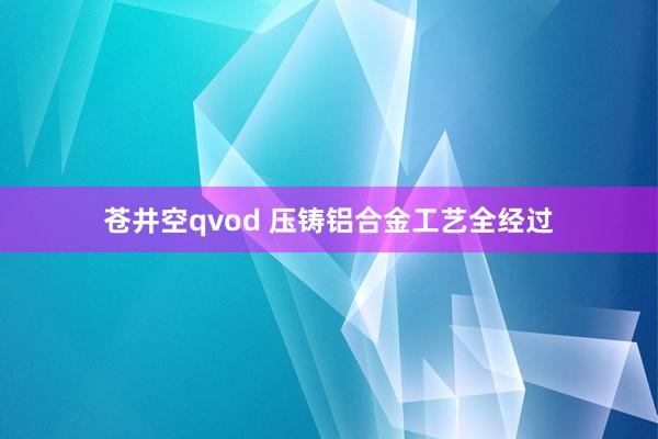苍井空qvod 压铸铝合金工艺全经过